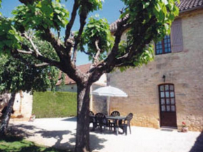 Gîte confortable proche Sarlat, jardin, ping-pong, parking - FR-1-616-403